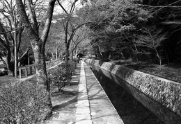 path of philosophy, Kyoto