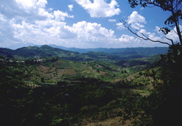 hillside views