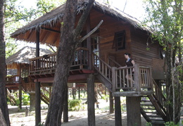 Meghan in the tree house