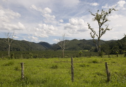 valley in the Cayo