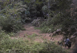 hiking through the jungle
