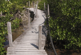 pathway through the Southern Island