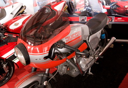 Ducati on display at MotoGP