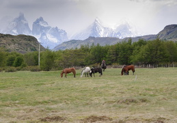 gaucho, horses & mountains