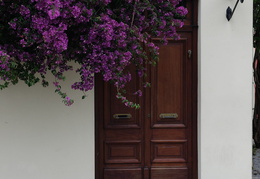 doorway & flowers