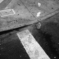 jaywalking2011d02c076-Edit.jpg