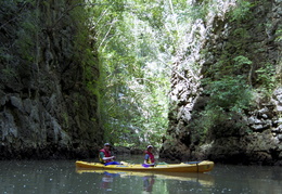 Sea Kayaking in the mangrove forests around Ao Nang