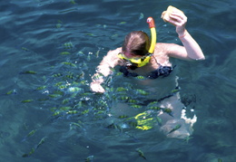 snorkeling with the fished in the Andaman Sea