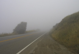 fog heading home