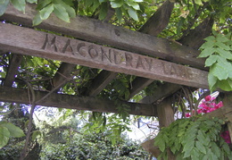 Macondray Lane