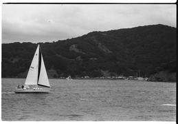 sailboat & Angel Island