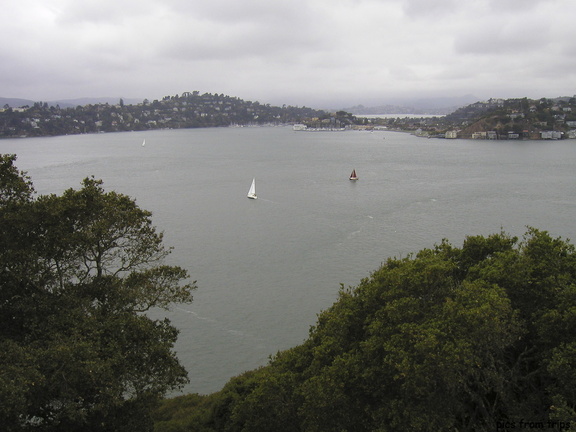 view of Tiburon from Angel Island