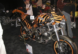 Tiger-striped Ducati