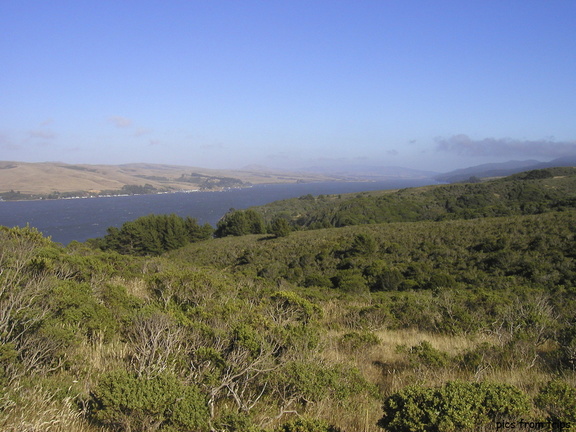 Point Reyes looking out over Tomales Bay