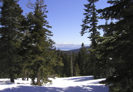 view of Lake Tahoe