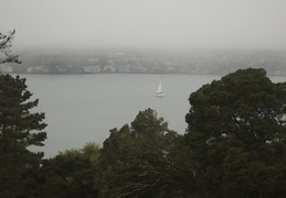 foggy morning on San Francisco Bay
