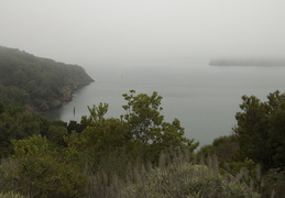 Angel Island under a blanket of fog