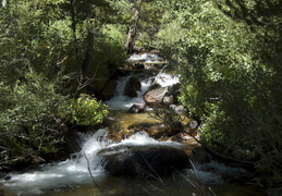 Sierra creek