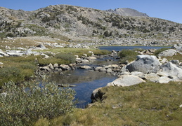 alpine creek