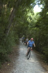 riding the bike paths of Sea Pines