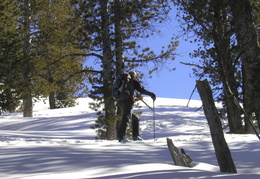 David skiing up