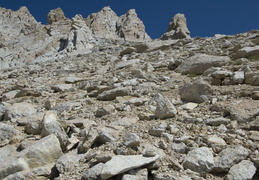 looking up towards the summit of Mt. Conness