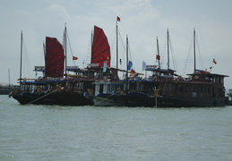 boats (with sails raised) in Ha Long Bay