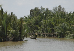 palms and paddler