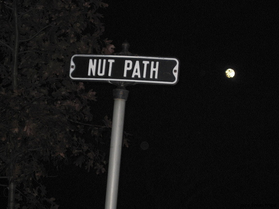 Nut Path road