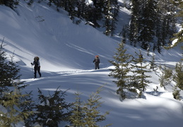 Skiing in along the fire road
