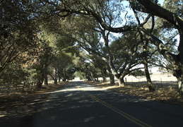 Chileno Valley Road