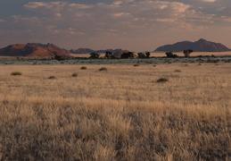 Dusk along the Namib desert
