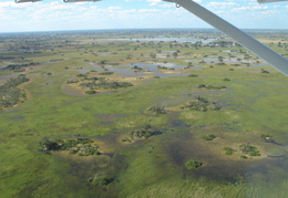 Okavango Delta by air