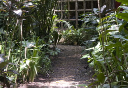 another view of the Jaguar Paw lodge