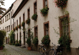 bikes and flowers, Regensburg