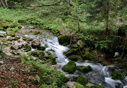 small creek heading towards Konigsee