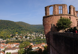 Heidelberg Castle & Neckar River