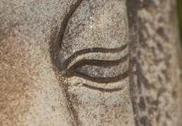 Buddha's eye