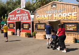 Giant attractions