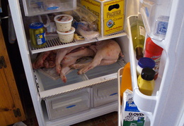 Pig in the fridge