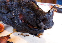 charred snout