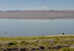 Alkali Lake