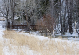 bridge over a snowy creek