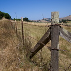 fences2011d18c033