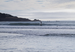 surfers2011d26c160