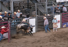 Hailey rodeo