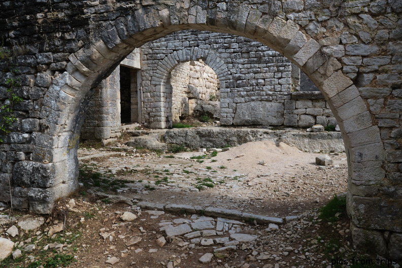 2022d08r219.jpg